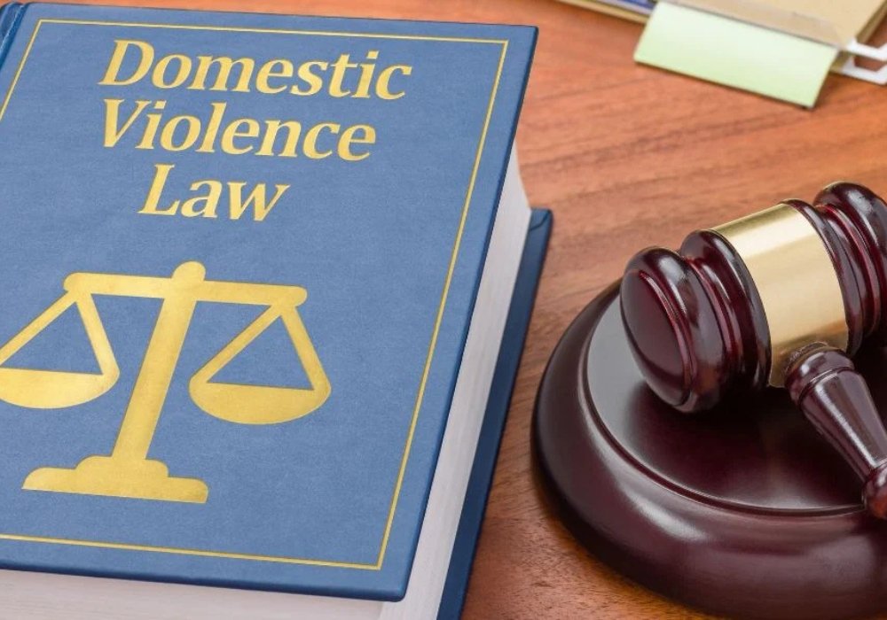 1kx700sneva Dv Img 1