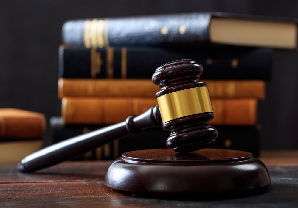 1kx700sneva Dv Img 3