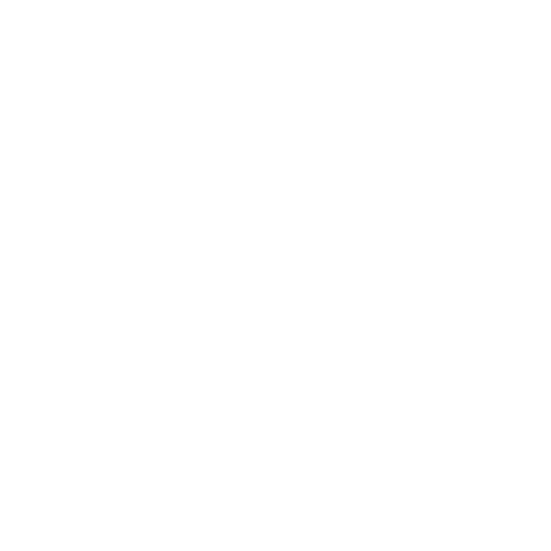 sneva logo white