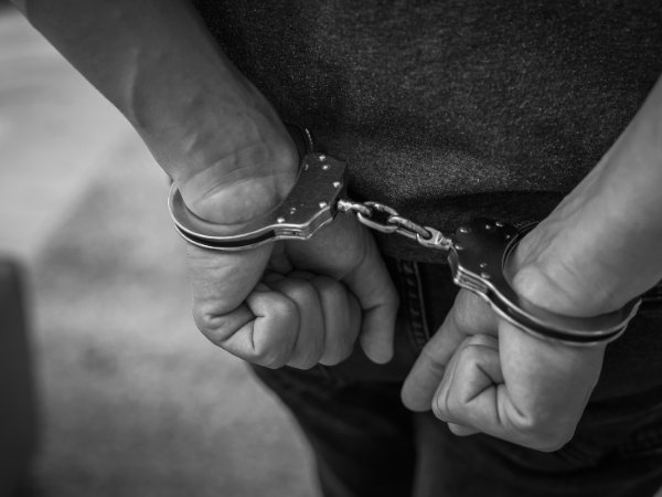 sneva thurston img 2