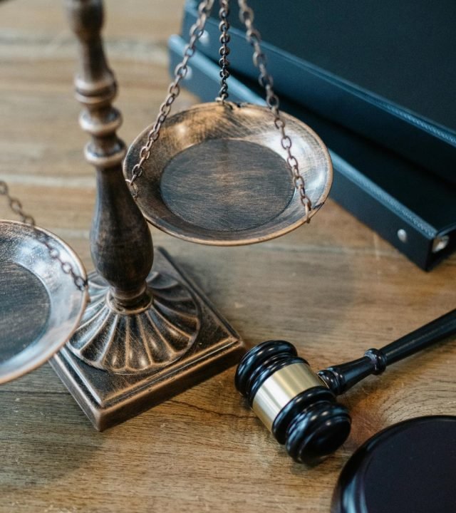 Sneva homepage image 1